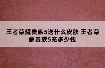 王者荣耀贵族5送什么皮肤 王者荣耀贵族5充多少钱